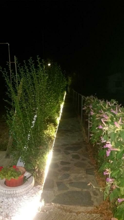 Villa Ermilia Kerveli ภายนอก รูปภาพ