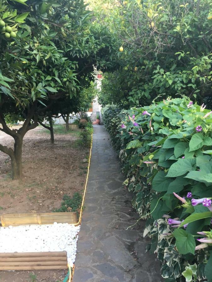 Villa Ermilia Kerveli ภายนอก รูปภาพ